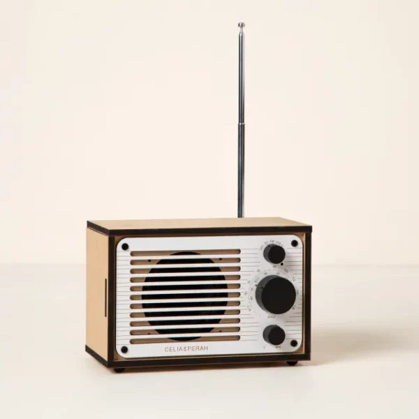 Build Your Own Bluetooth And Fm Radio