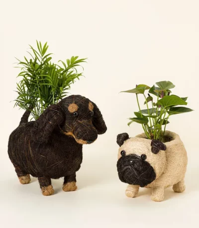 Coconut Fiber Dog Planter