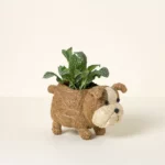 Coconut Fiber Dog Planter Eb