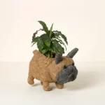 Coconut Fiber Dog Planter Fb