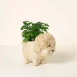 Coconut Fiber Dog Planter Po