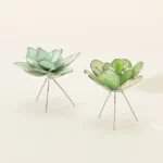 Everlasting Stained Glass Succulents 1