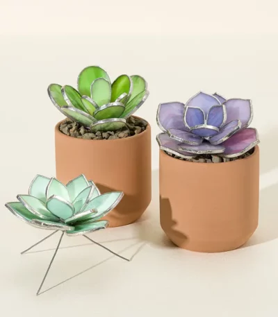 Everlasting Stained Glass Succulents