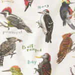 Fowl Language Apron – Peckers & Cocks 1