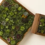 Living Succulent Wall Art 1