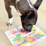 Pawcasso Art Kit For Pets 1