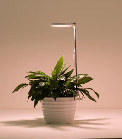 Adjustable Height Auto-timed Grow Light