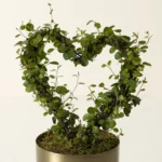 Angel Vine Heart Topiary 1