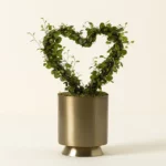 Angel Vine Heart Topiary