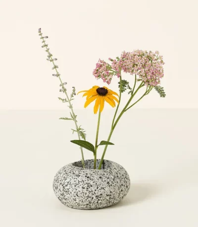 Beach Stone Stem Arranging Vase