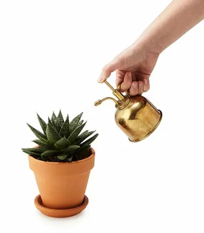 Brass Succulent Mister