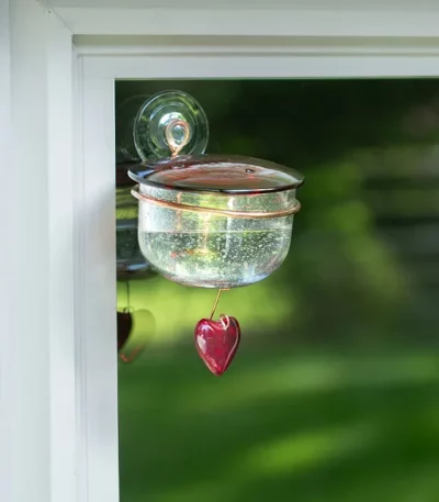 Charmed Hummingbird Window Feeder