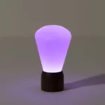 Color Changing Desk Bulb