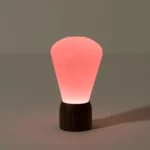 Color Changing Desk Bulb 2