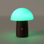 Color Changing Magic Mushroom Lamp 1