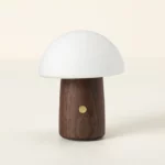 Color Changing Magic Mushroom Lamp 1