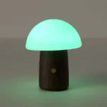 Color Changing Magic Mushroom Lamp