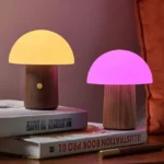 Color Changing Magic Mushroom Lamp 2