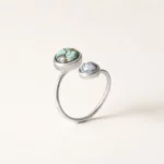 Earth & Moon Orbit Ring 1