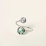 Earth & Moon Orbit Ring