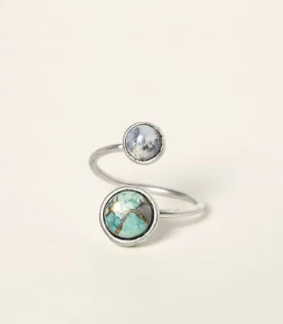 Earth & Moon Orbit Ring