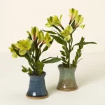 Flower Arranging Bud Vase 1