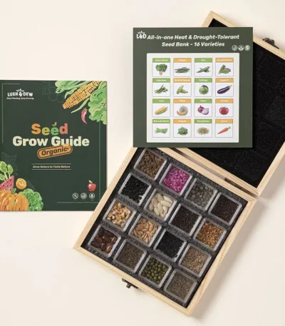 Garden To Table Seed Bank Gift Set