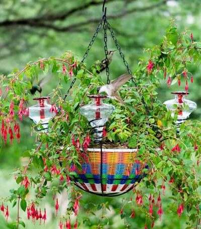 Hanging Basket Hummingbird Feeder