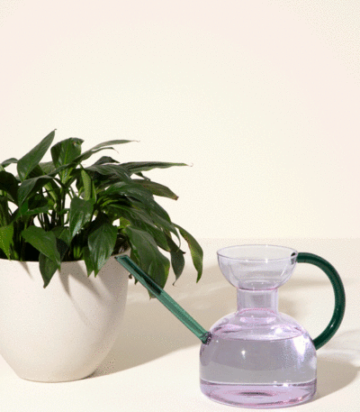 Indoor Handblown Glass Watering Can