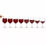 Major Scale Musical Wine Glasses - Party Set