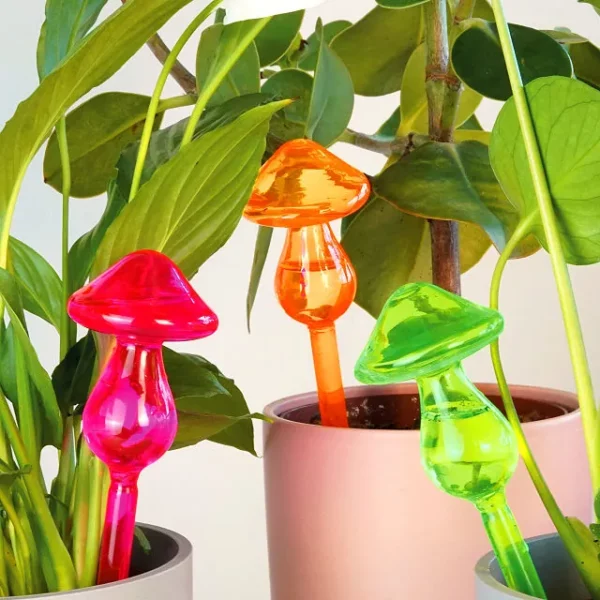 Mushroom Plant Watering Micro-douser Set Of 3