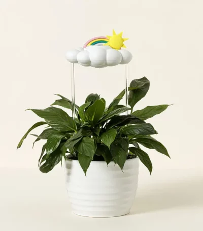 Rain Cloud Plant Watering Tool