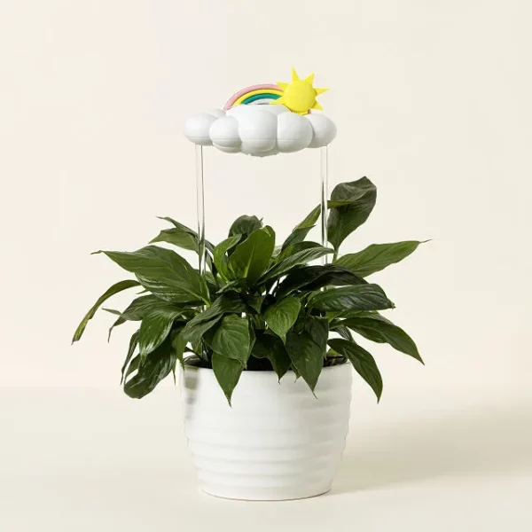 Rain Cloud Plant Watering Tool