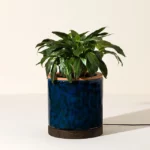 Self-watering Lamp Planter 1