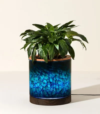 Self-watering Lamp Planter