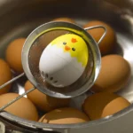 Singing Boiled Egg Timer