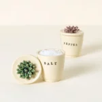 Succulent Salt & Pepper Pots