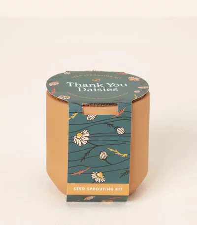 Thank You Daisies Grow Kit