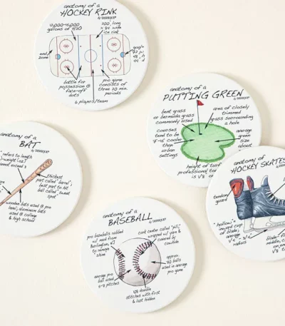 Anatomy Of Sports Coasters