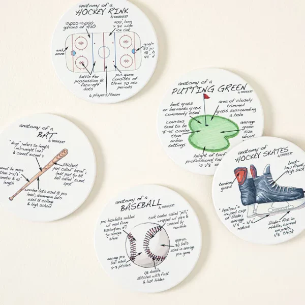 Anatomy Of Sports Coasters