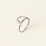 Arc Fidget Ring 2