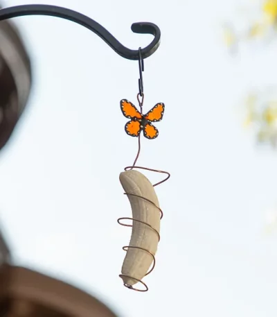 Banana Butterfly Feeder