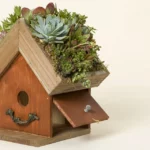 Bird Cottage Living Succulent Garden 2