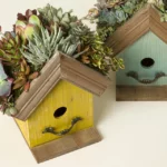 Bird Cottage Living Succulent Garden 3