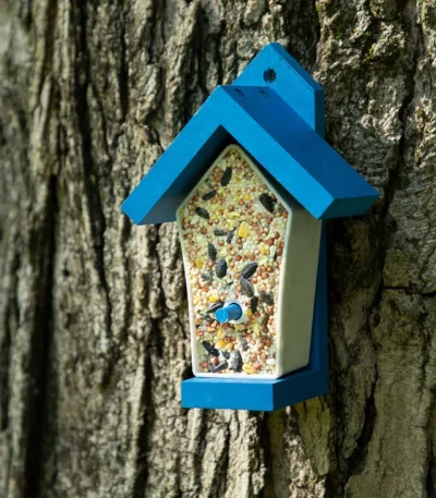 Birdie Bistro Bird Feeder