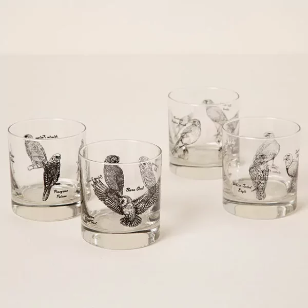 Birds Of Prey Rocks Glass Set