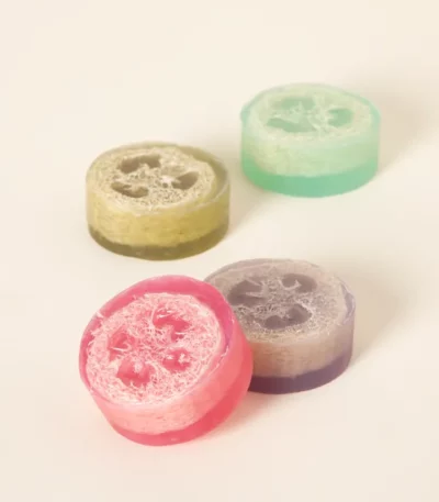 Botanical Loofah Soap Gift Set