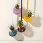 Bubble Vase Air Planter