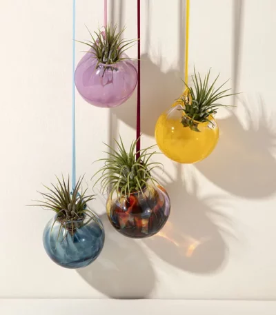 Bubble Vase Air Planter