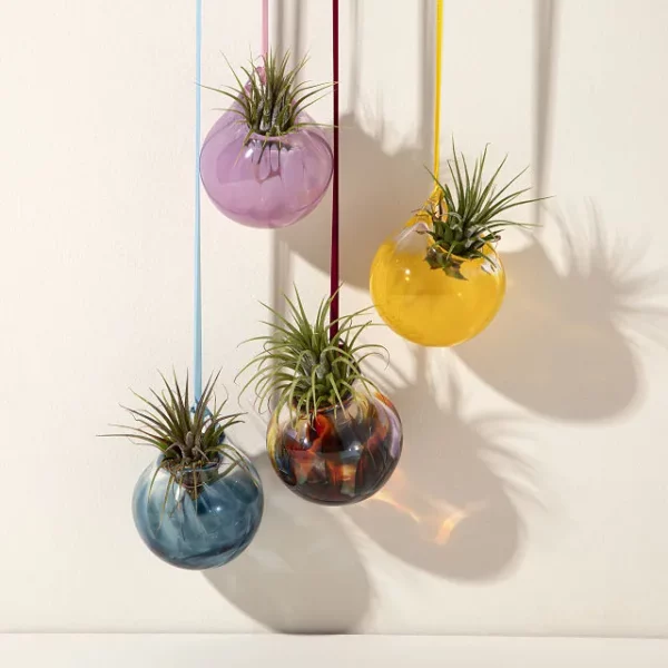 Bubble Vase Air Planter